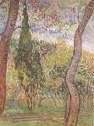 Vincent Van Gogh The Garden of Saint-Paul Hospital (nn04) USA oil painting reproduction